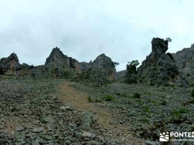 Ruta del Cares - Garganta Divina - Parque Nacional de los Picos de Europa;puente de mayo